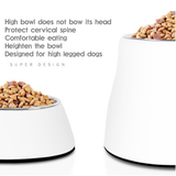Pet Elevated stainless steel bowl