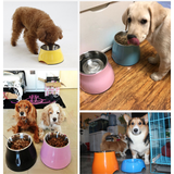 Pet Elevated stainless steel bowl