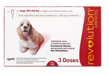 Revolution For Medium Dog 10.1kg to 20kg