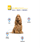 Revolution For Medium Dog 10.1kg to 20kg
