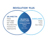 Revolution Plus for Cats 5-10kg