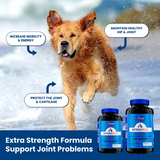 Kala Health Arthrix Plus  90 Tabs  Pet Supplement for Hip & Joint  for Dog & Cat