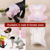 Pet Disposable Diaper Training Pad