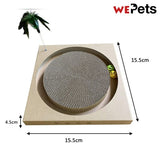 Cat Scratch Board with Toys
