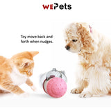Dog Food dispenser cat tumble Toy Feeding toy