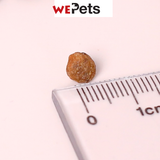 Absolute Holistic Grain Free Cat Dry Food -Indoor 1.36kg