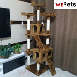 Cat Tree / play house (1.7m Height)