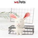 Pet Squeaky Toys for Dogs/cats