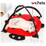 Ladybug Toy Mat for Cats and kittens